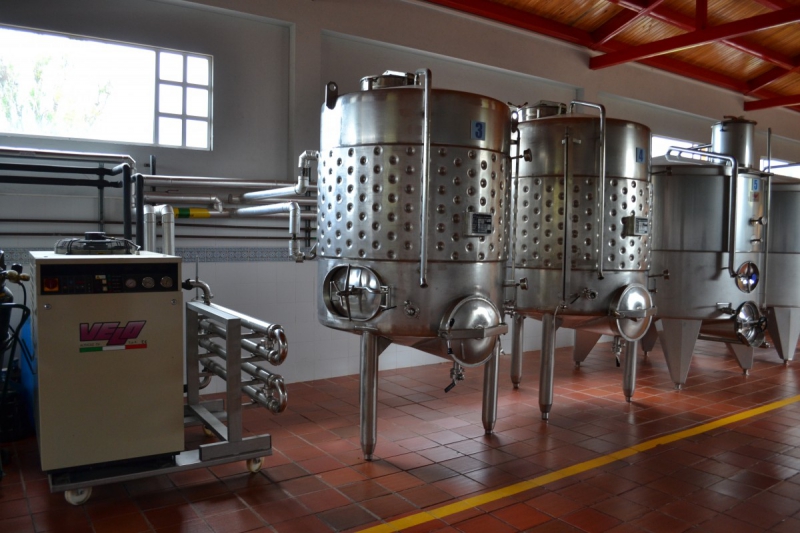 cave-FLAYOSC-min_wine_production_cantine_winery_drink_alcohol_vine_beverage-902036